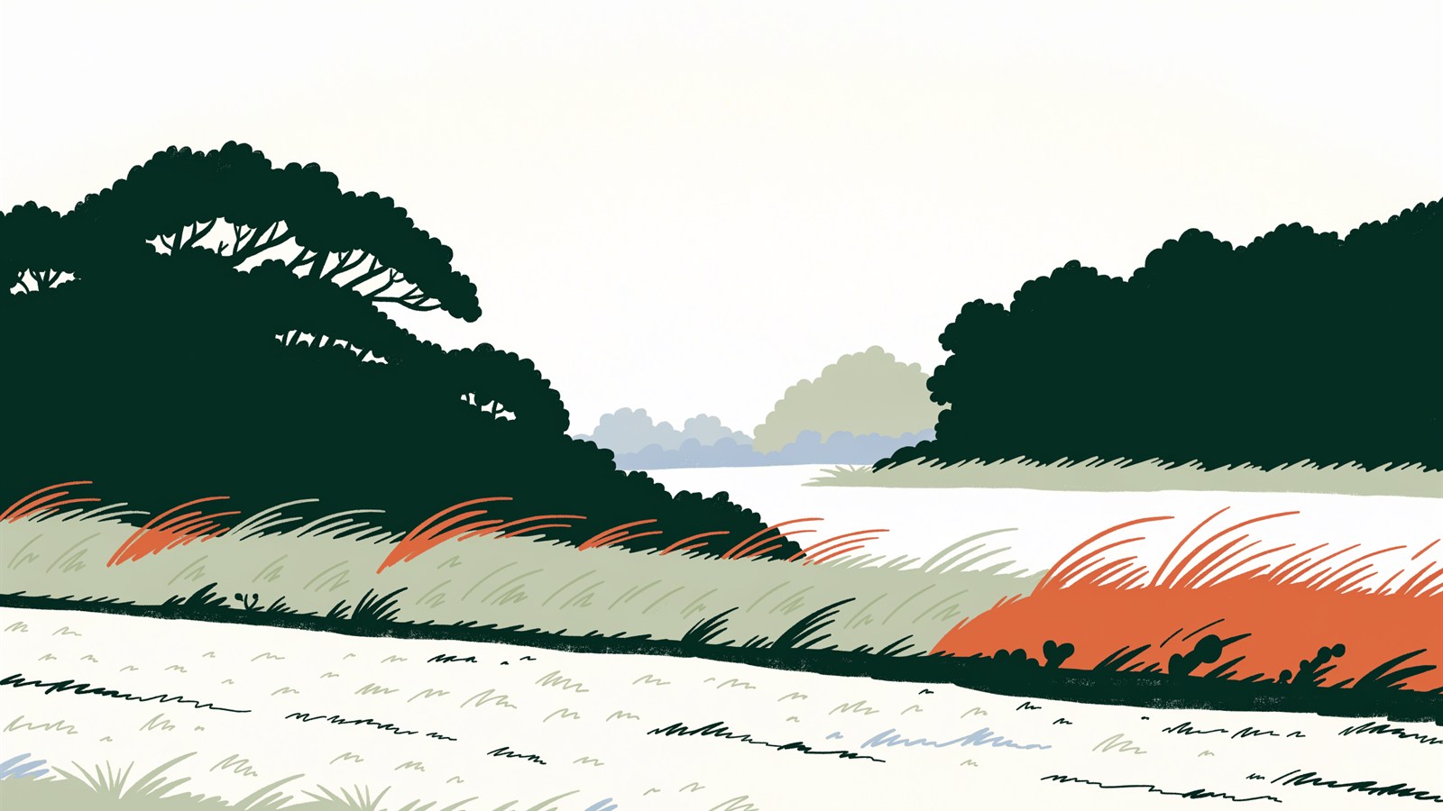 Editorial illustration of a wind-shaped coastal tree beside Tampa Bay